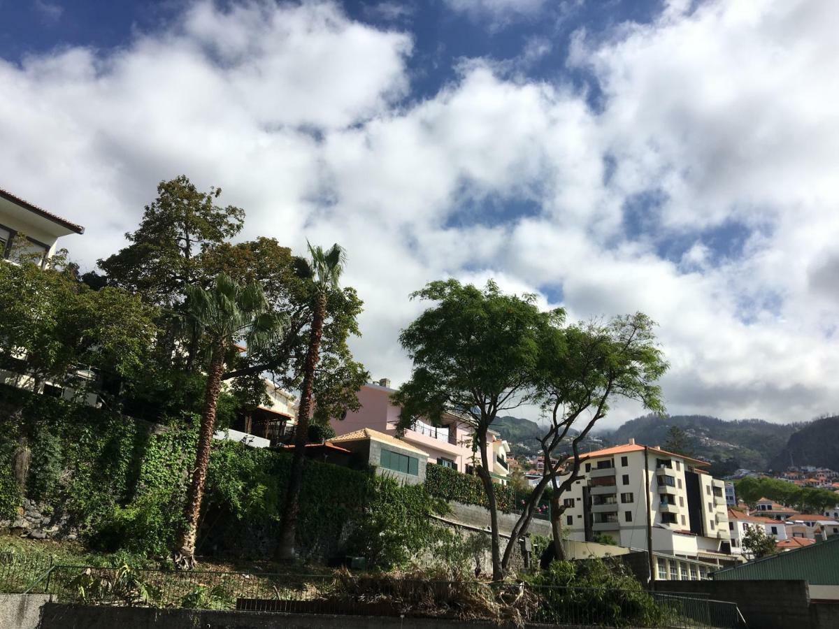 Apart. Madeira 4 You Φουνκάλ Εξωτερικό φωτογραφία
